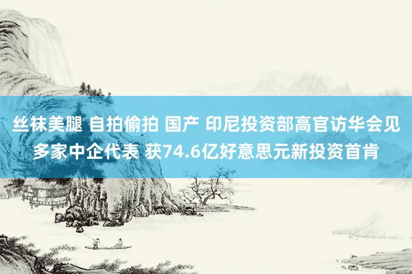 丝袜美腿 自拍偷拍 国产 印尼投资部高官访华会见多家中企代表 获74.6亿好意思元新投资首肯