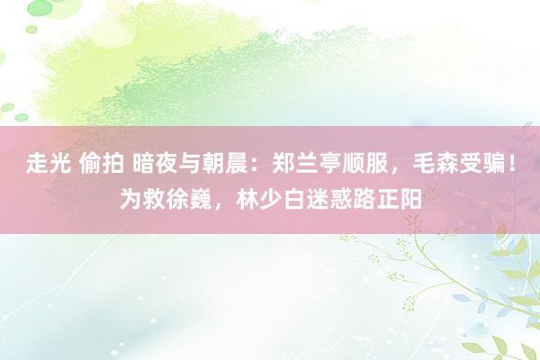 走光 偷拍 暗夜与朝晨：郑兰亭顺服，毛森受骗！为救徐巍，林少白迷惑路正阳