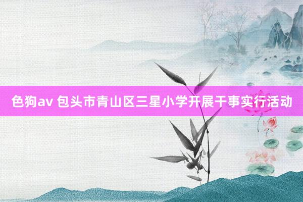 色狗av 包头市青山区三星小学开展干事实行活动