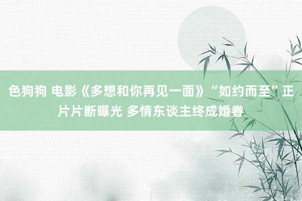 色狗狗 电影《多想和你再见一面》“如约而至”正片片断曝光 多情东谈主终成婚眷