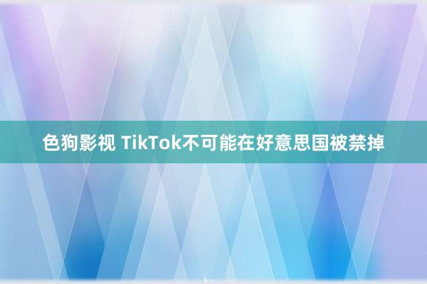 色狗影视 TikTok不可能在好意思国被禁掉