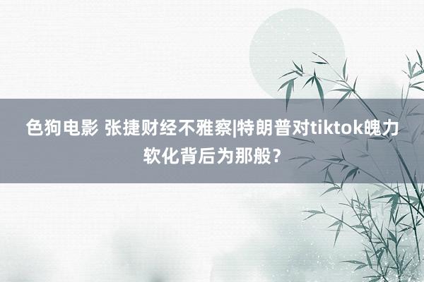 色狗电影 张捷财经不雅察|特朗普对tiktok魄力软化背后为那般？