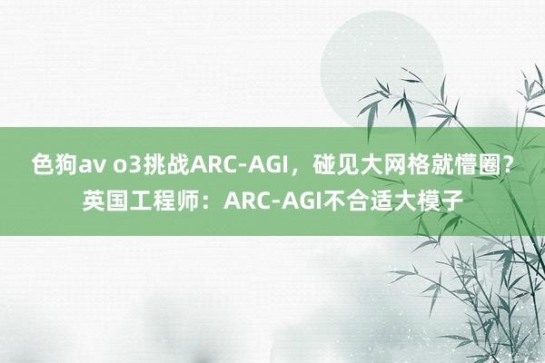 色狗av o3挑战ARC-AGI，碰见大网格就懵圈？英国工程师：ARC-AGI不合适大模子