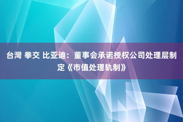 台灣 拳交 比亚迪：董事会承诺授权公司处理层制定《市值处理轨制》
