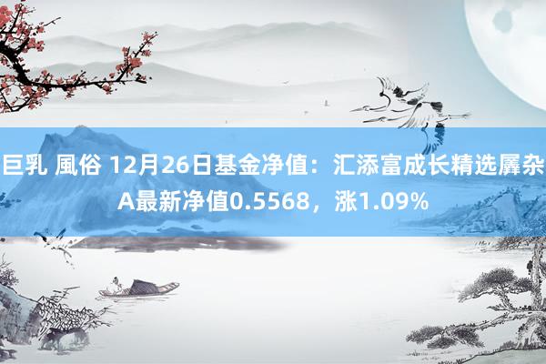 巨乳 風俗 12月26日基金净值：汇添富成长精选羼杂A最新净值0.5568，涨1.09%