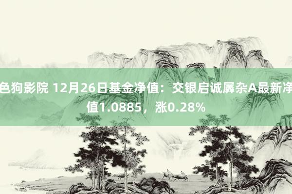 色狗影院 12月26日基金净值：交银启诚羼杂A最新净值1.0885，涨0.28%