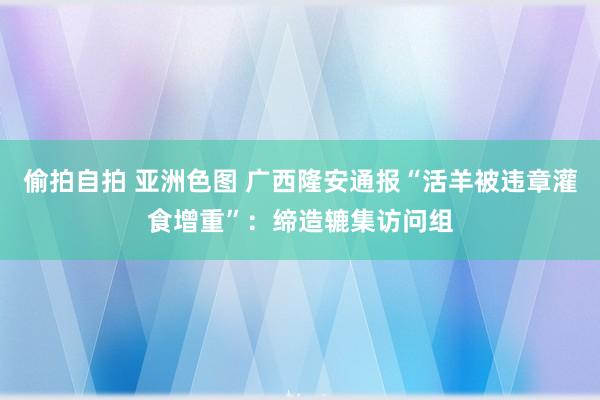 偷拍自拍 亚洲色图 广西隆安通报“活羊被违章灌食增重”：缔造辘集访问组