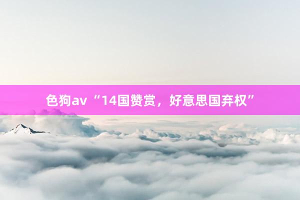 色狗av “14国赞赏，好意思国弃权”