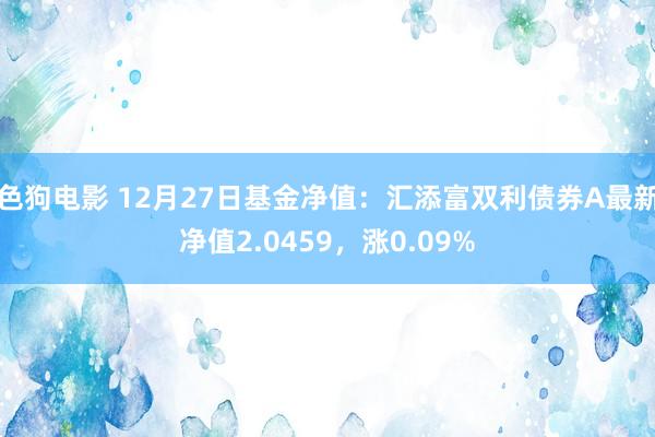 色狗电影 12月27日基金净值：汇添富双利债券A最新净值2.0459，涨0.09%
