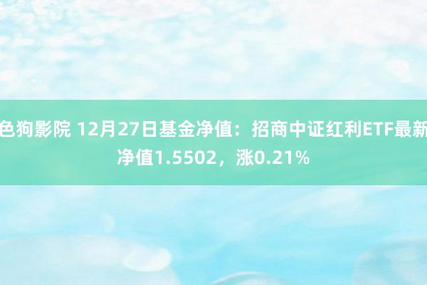 色狗影院 12月27日基金净值：招商中证红利ETF最新净值1.5502，涨0.21%
