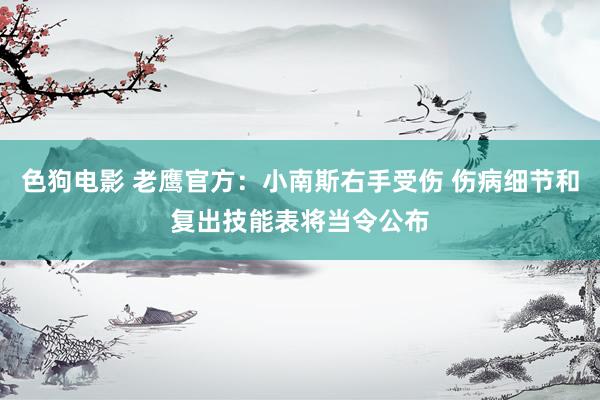 色狗电影 老鹰官方：小南斯右手受伤 伤病细节和复出技能表将当令公布