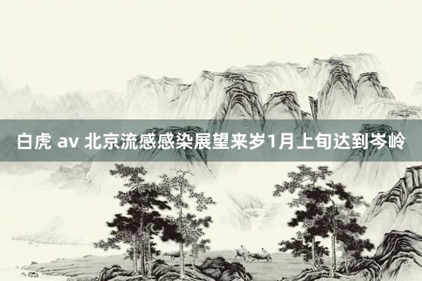 白虎 av 北京流感感染展望来岁1月上旬达到岑岭