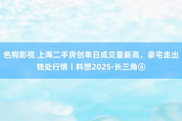 色狗影视 上海二手房创单日成交量新高，豪宅走出独处行情丨料想2025·长三角④