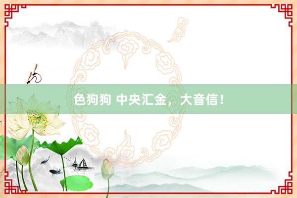 色狗狗 中央汇金，大音信！