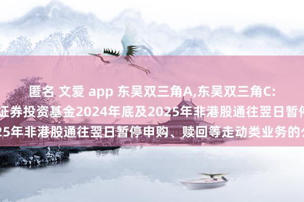匿名 文爱 app 东吴双三角A,东吴双三角C: 对于东吴双三角股票型证券投资基金2024年底及2025年非港股通往翌日暂停申购、赎回等走动类业务的公告