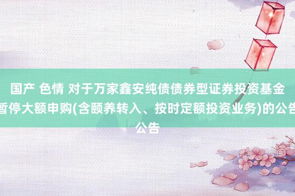 国产 色情 对于万家鑫安纯债债券型证券投资基金暂停大额申购(含颐养转入、按时定额投资业务)的公告