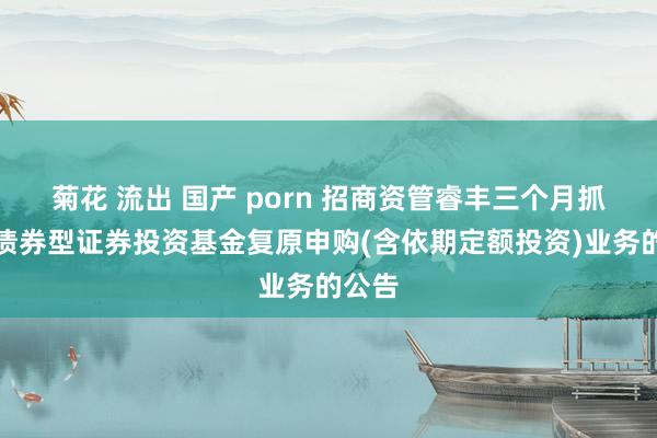 菊花 流出 国产 porn 招商资管睿丰三个月抓有期债券型证券投资基金复原申购(含依期定额投资)业务的公告