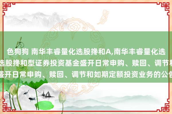 色狗狗 南华丰睿量化选股搀和A,南华丰睿量化选股搀和C: 南华丰睿量化选股搀和型证券投资基金盛开日常申购、赎回、调节和如期定额投资业务的公告