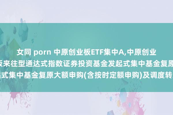 女同 porn 中原创业板ETF集中A，中原创业板ETF集中C: 中原创业板来往型通达式指数证券投资基金发起式集中基金复原大额申购(含按时定额申购)及调度转入业务的公告