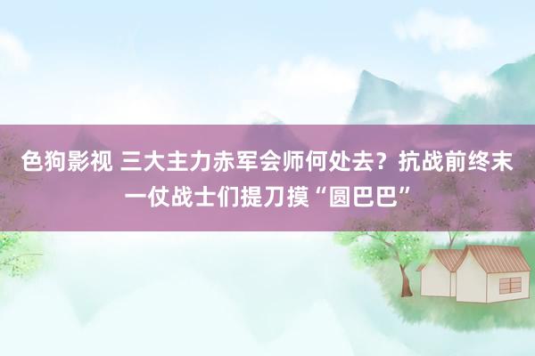 色狗影视 三大主力赤军会师何处去？抗战前终末一仗战士们提刀摸“圆巴巴”