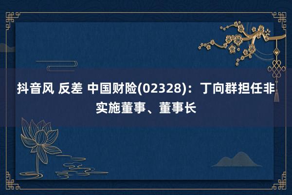抖音风 反差 中国财险(02328)：丁向群担任非实施董事、董事长