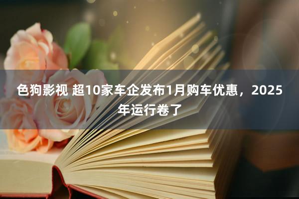 色狗影视 超10家车企发布1月购车优惠，2025年运行卷了