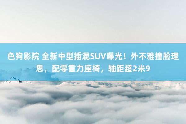 色狗影院 全新中型插混SUV曝光！外不雅撞脸理思，配零重力座椅，轴距超2米9