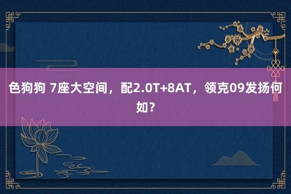 色狗狗 7座大空间，配2.0T+8AT，领克09发扬何如？