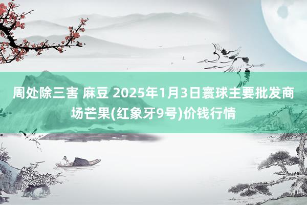 周处除三害 麻豆 2025年1月3日寰球主要批发商场芒果(红象牙9号)价钱行情