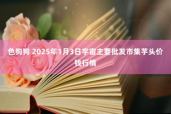 色狗狗 2025年1月3日宇宙主要批发市集芋头价钱行情