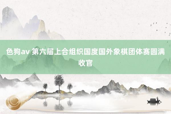 色狗av 第六届上合组织国度国外象棋团体赛圆满收官