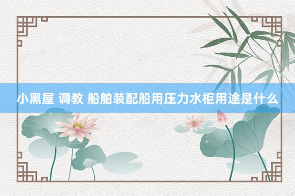 小黑屋 调教 船舶装配船用压力水柜用途是什么