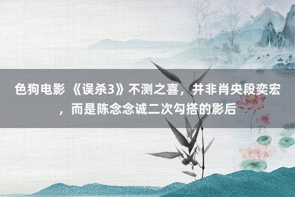 色狗电影 《误杀3》不测之喜，并非肖央段奕宏，而是陈念念诚二次勾搭的影后