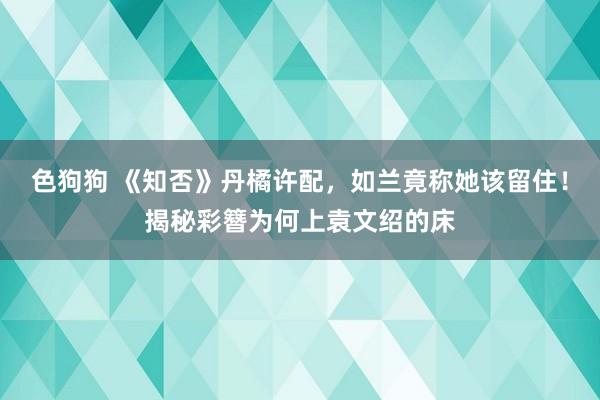 色狗狗 《知否》丹橘许配，如兰竟称她该留住！揭秘彩簪为何上袁文绍的床