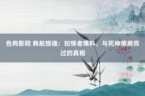 色狗影院 韩航惊魂：知情者爆料，与死神擦肩而过的真相