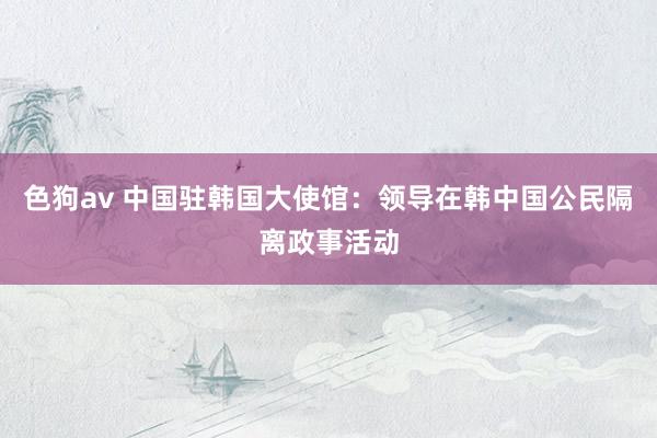色狗av 中国驻韩国大使馆：领导在韩中国公民隔离政事活动