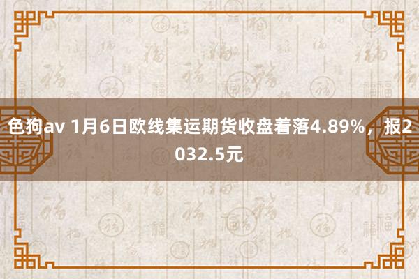色狗av 1月6日欧线集运期货收盘着落4.89%，报2032.5元