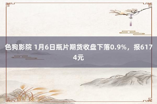 色狗影院 1月6日瓶片期货收盘下落0.9%，报6174元