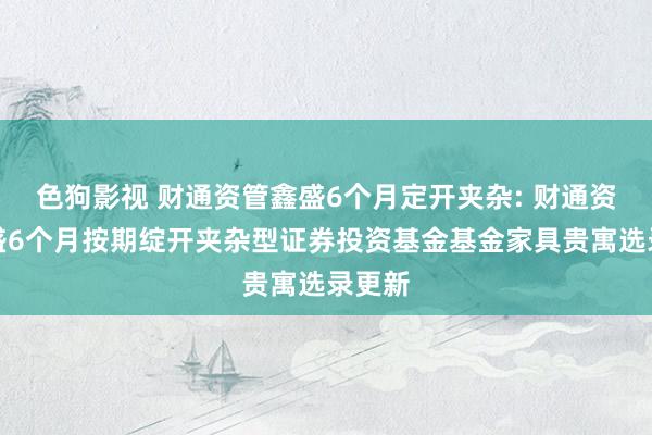 色狗影视 财通资管鑫盛6个月定开夹杂: 财通资管鑫盛6个月按期绽开夹杂型证券投资基金基金家具贵寓选录更新