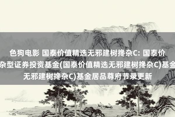 色狗电影 国泰价值精选无邪建树搀杂C: 国泰价值精选无邪建树搀杂型证券投资基金(国泰价值精选无邪建树搀杂C)基金居品尊府节录更新