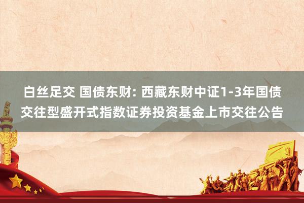白丝足交 国债东财: 西藏东财中证1-3年国债交往型盛开式指数证券投资基金上市交往公告