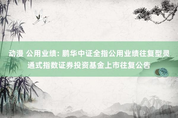 动漫 公用业绩: 鹏华中证全指公用业绩往复型灵通式指数证券投资基金上市往复公告