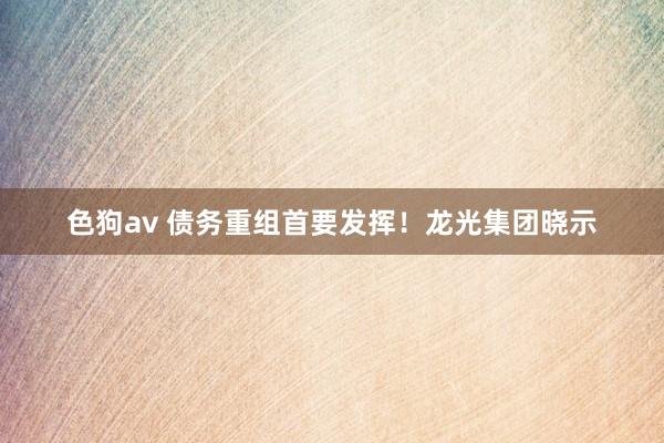 色狗av 债务重组首要发挥！龙光集团晓示