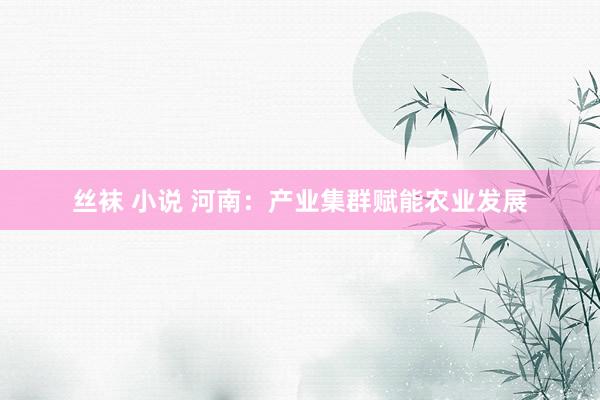 丝袜 小说 河南：产业集群赋能农业发展
