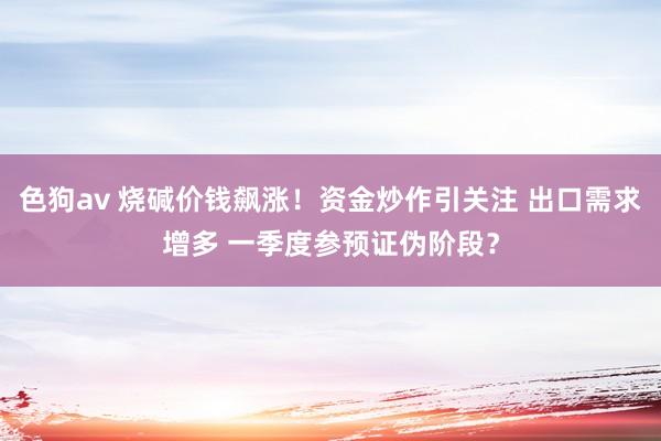 色狗av 烧碱价钱飙涨！资金炒作引关注 出口需求增多 一季度参预证伪阶段？