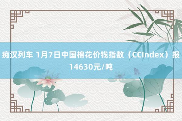 痴汉列车 1月7日中国棉花价钱指数（CCIndex）报14630元/吨