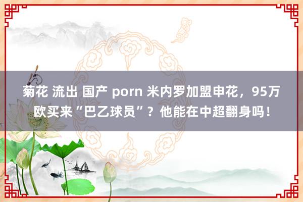 菊花 流出 国产 porn 米内罗加盟申花，95万欧买来“巴乙球员”？他能在中超翻身吗！