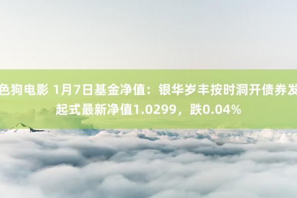 色狗电影 1月7日基金净值：银华岁丰按时洞开债券发起式最新净值1.0299，跌0.04%