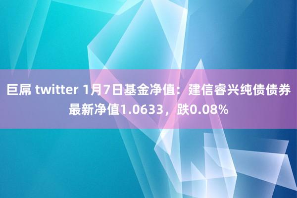 巨屌 twitter 1月7日基金净值：建信睿兴纯债债券最新净值1.0633，跌0.08%