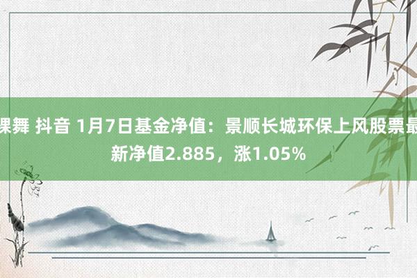 裸舞 抖音 1月7日基金净值：景顺长城环保上风股票最新净值2.885，涨1.05%